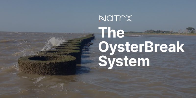 A Closer Look at The Natrx OysterBreak System