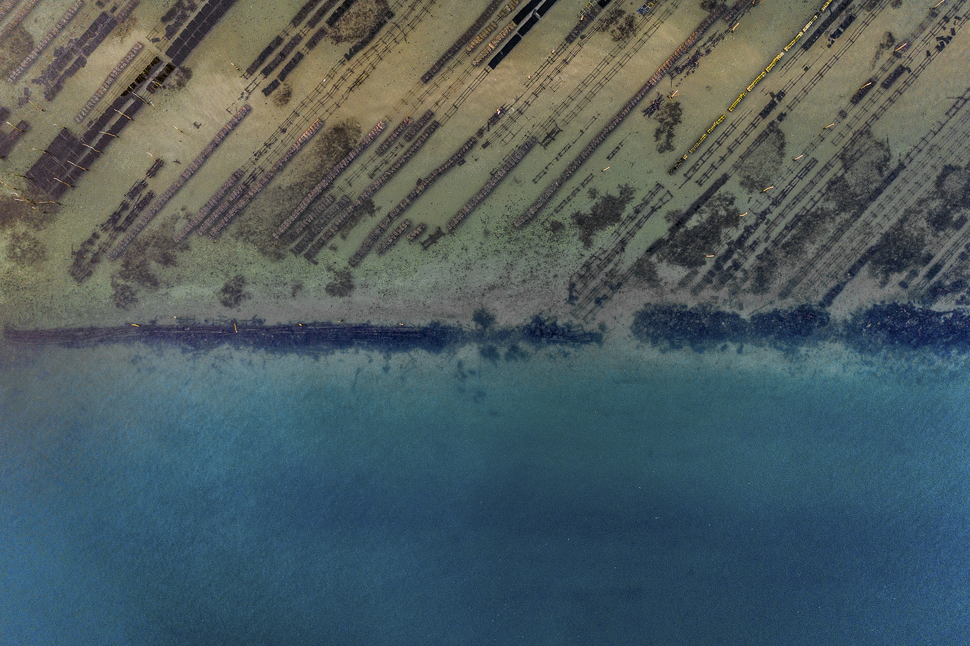 Aerial shot of an oyster bed at the edge of an estuary, Arcachon, France