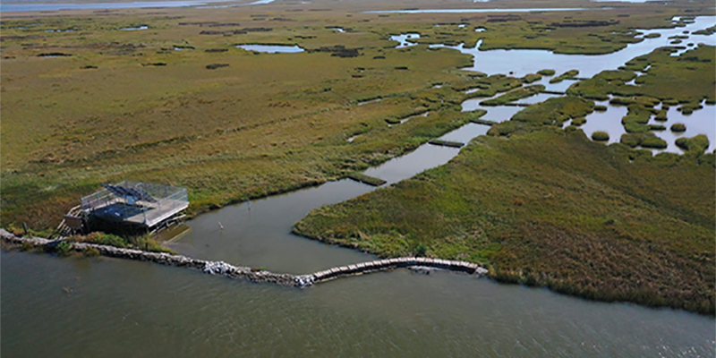 Danos Completes Nature-Based Coastal Restoration Projects